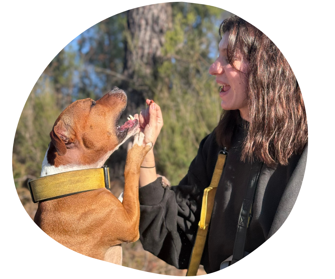 educateur canin avec chien staffie