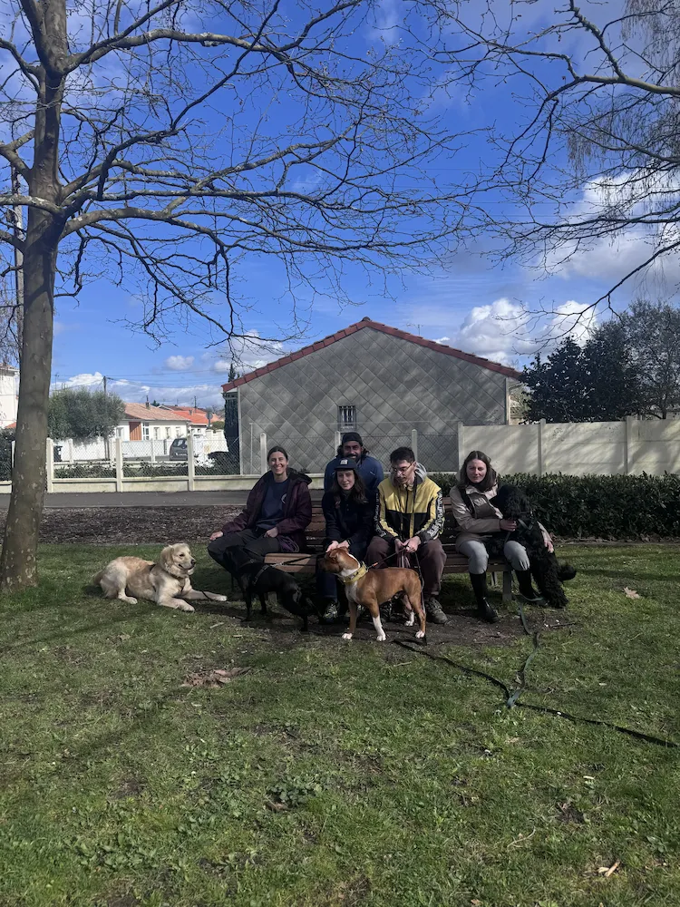 cours collectif d'éducation canine à Bordeaux avec Kind Dog Training