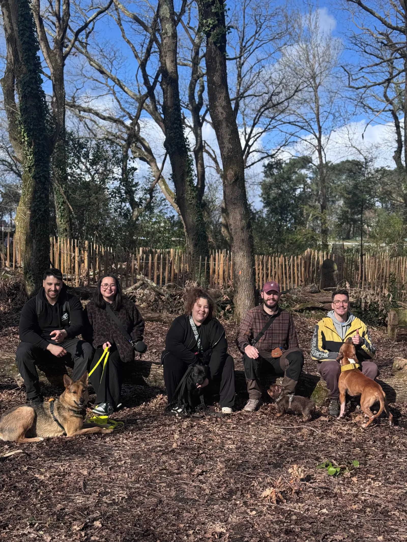 Cours collectifs d'éducation canine avec Kind Dog Training